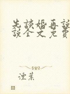 先谈婚再说爱小说全文免费阅读