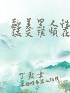 欧美黑人性暴力猛交视频在线