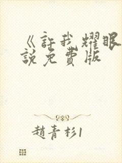 《许我耀眼》小说免费版