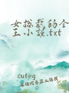 女总裁的全能兵王小说.txt