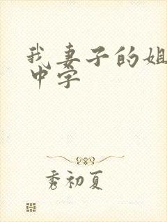 我妻子的姐姐 中字