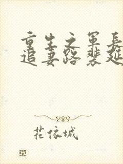 重生之军长漫漫追妻路裴延峰