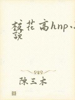 校花高hnp小说
