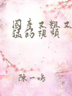 国产又粗又爽又猛的视频