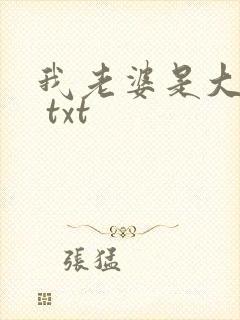 我老婆是大明星 txt