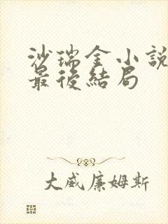 沙瑞金小说原著最后结局