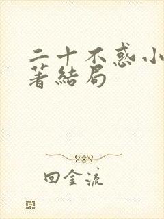 二十不惑小说原著结局