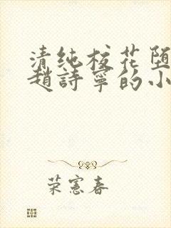 清纯校花堕落记赵诗宁的小说全文阅