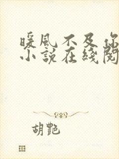 暖风不及你情深小说在线阅读免费