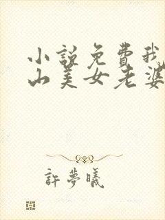 小说免费我的冰山美女老婆