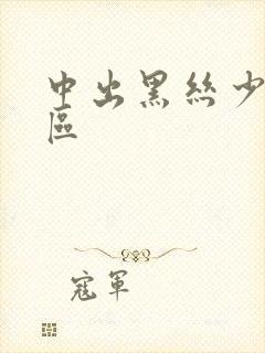 中出黑丝少妇一区