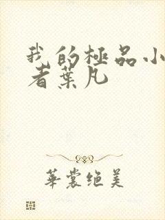 我的极品小姨作者叶凡