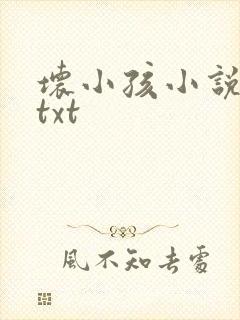 坏小孩小说网盘txt