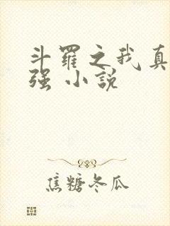 斗罗之我真的不强 小说