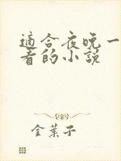 适合夜晚一个人看的小说