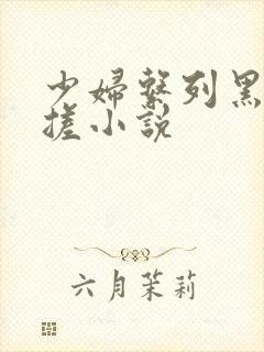 少妇系列黑人揉搓小说