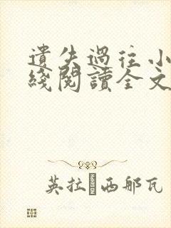 遗失过往小说在线阅读全文无弹窗