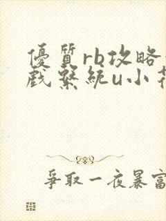 优质rb攻略游戏系统u小花