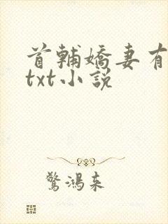 首辅娇妻有空间txt小说