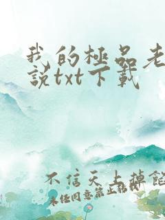 我的极品老婆小说txt下载