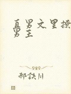 直男文里撩言情男主