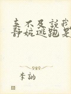 来不及说我爱你静婉逃跑是哪一集