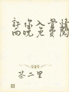 许你入骨情深沈向晚免费阅读