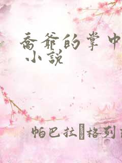 乔爷的掌中宠妻 小说