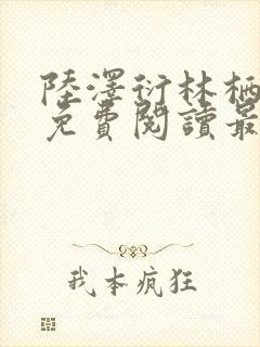 陆泽衍林栖小说免费阅读最新章节