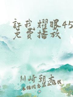 许我耀眼45集免费播放