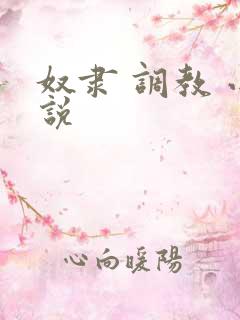 奴隶 调教 小说