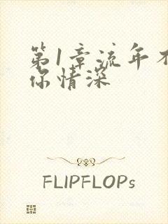 第1章流年不负你情深