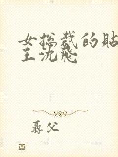 女总裁的贴身兵王沈飞