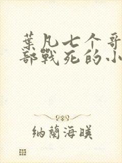 叶凡七个哥哥全部战死的小说阅读