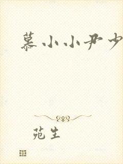 慕小小尹少桀