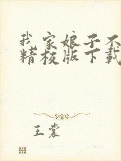 我家娘子不对劲精校版下载