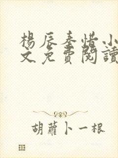 杨辰秦惜小说全文免费阅读完整