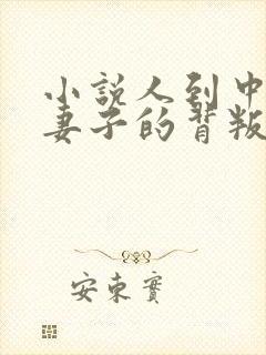 小说人到中年:妻子的背叛免费阅读全文