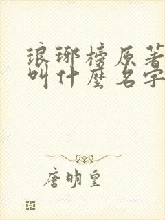 琅琊榜原著小说叫什么名字