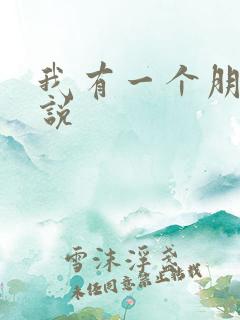 我有一个朋友小说