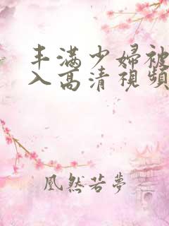 丰满少妇被猛进入高清视频