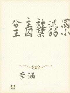 公主被灭国被男主囚禁的小说