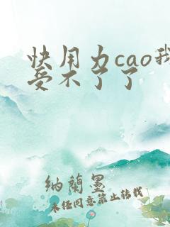 快用力cao我受不了了