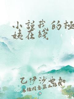 小说我的极品小姨在线