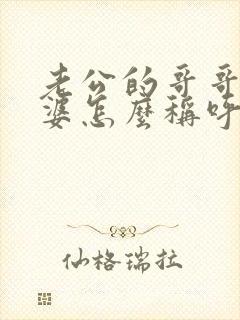 老公的哥哥的老婆怎么称呼