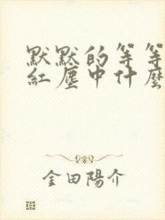 默默的等等你在红尘中什么歌