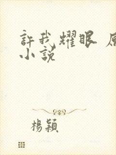 许我耀眼 原著小说