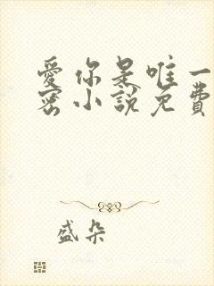 爱你是唯一的秘密小说免费阅读