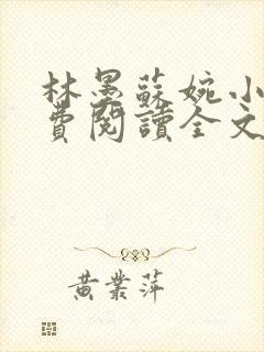 林墨苏婉小说免费阅读全文最新章节