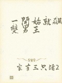 一开始就飙车的双男主